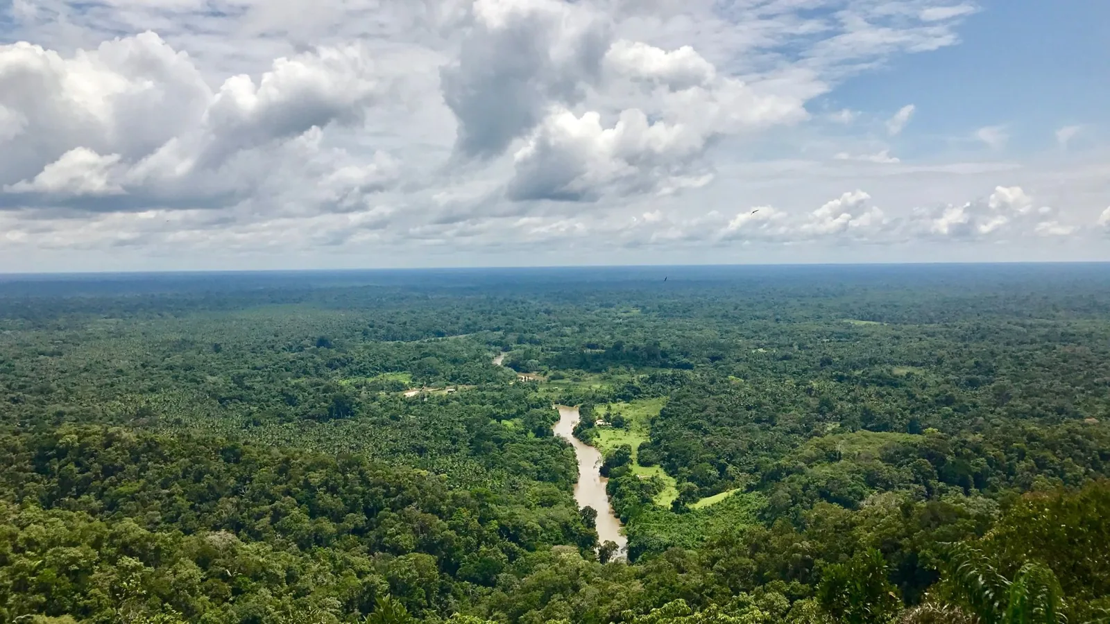 La selva amazónica vista desde lo alto, con un río que la atraviesa bajo un cielo de nubes